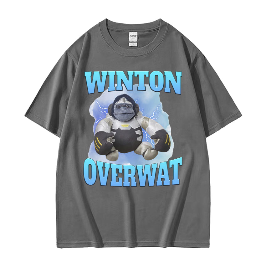 Winton Overwat Meme Funny Gami - Retro Gaming Meme recension och pris