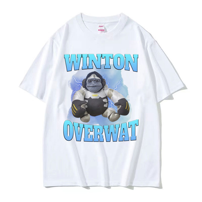 Winton Overwat Meme Funny Gami - Retro Gaming Meme recension och pris