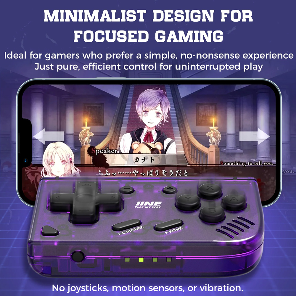 IINE Pocket Mini Controller fo - Retro Gaming Accessories recension och pris