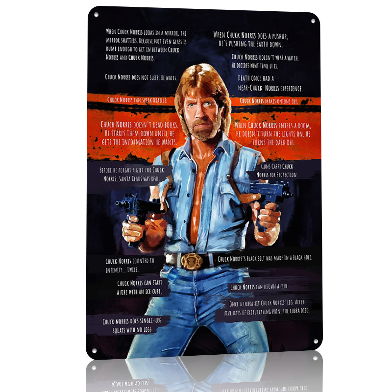 Chuck Norris Memes Metal Poste - Retro Gaming Meme recension och pris